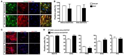 Evidence of Müller Glia Conversion Into Retina Ganglion Cells Using Neurogenin2